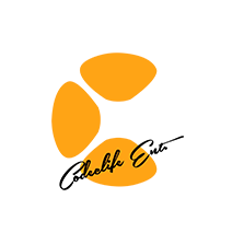 logo for Codeclife